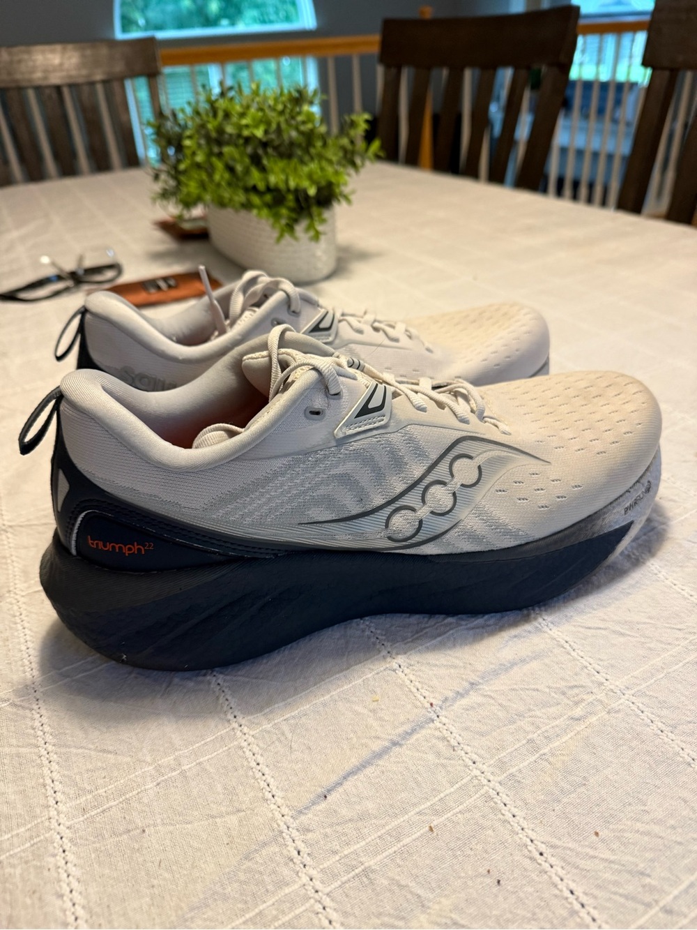 Saucony Triumph 22
